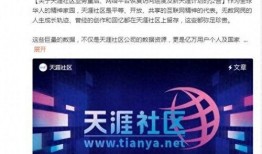 天涯论坛爆料外交事件视频,外交风波视频曝光，事件真相引发热议