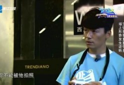 郑恺爆料宝强视频大全集,揭秘娱乐圈背后的真相