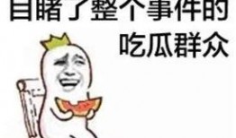 娱乐吃瓜酱奶奶语录全文,揭秘娱乐圈那些不为人知的幕后故事