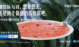 娱乐吃瓜的文案,吃瓜群众必备的幕后花絮大汇总