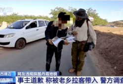 郑州加油爆料事件始末最新消息,真相与争议交织的舆论漩涡