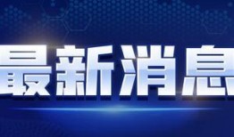 陈哥武汉爆料视频最新消息,陈哥视频揭露惊人内幕