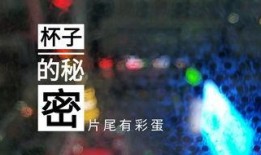 怎么向青蜂侠爆料视频,如何通过视频向英雄举报犯罪线索
