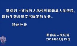 蕲春论坛爆料新闻,揭秘背后惊人真相！