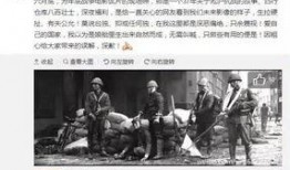 郑州加油爆料事件始末最新消息,真相与争议交织的舆论漩涡
