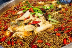 椒麻鱼爆料视频大全最新,揭秘最新爆料视频大全