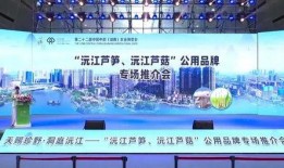 沅江新闻爆料事件最新,真相追踪与舆论漩涡