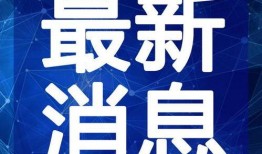 辣条新闻爆料视频大全最新,揭秘行业黑幕，聚焦食品安全热点